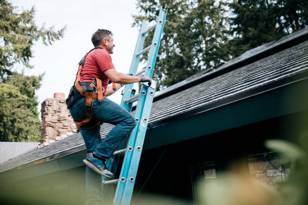 Emergency Roof Repair in Davison, MI